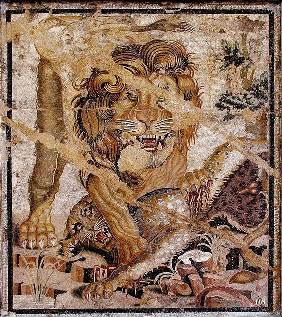 Mosaico pompeyano. León vence a un tigre.